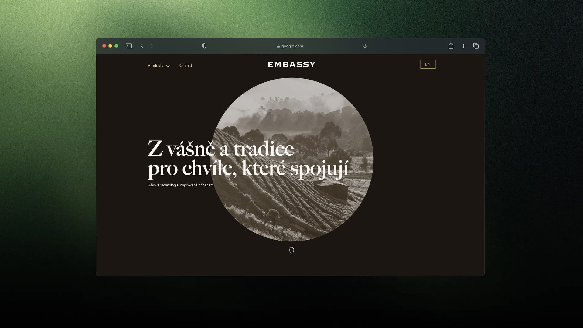 Webové stránky pro společnost Embassy