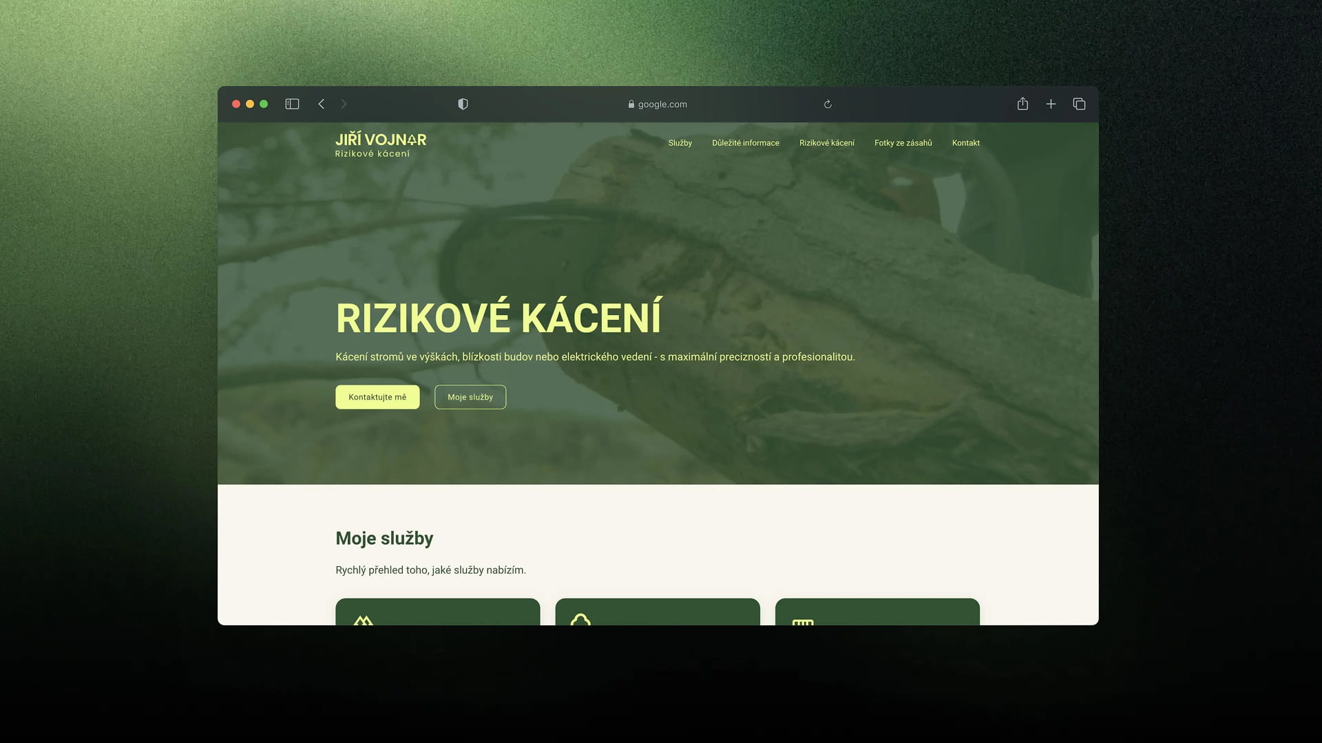 Webové stránky pro Jiřího Vojnara - rizikové kácení